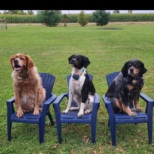 Meet your Posher, Susan